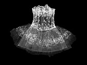 Embroidered dress, X-ray