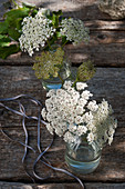 Queen Anne's lace in glass bottles