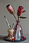 Protea flowers in glass bottle