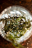 Fresh twigs of aromatic rosemary placed in glass cup in bar