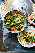 Rotes Gemüsecurry mit Pak Choi und Brokkoli auf Reis (Asien)