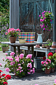 Plant a colorful wicker basket with geranium