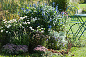 Herbstbeet mit Chrysantheme 'White Bouquet', Salbei-Hybride Rockin 'True Blue', Bergminze, Dost, Fetthenne und Wermut Makana 'Silver'