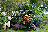 Autumn bed with chrysanthemum 'White Bouquet', aster 'Sapphire', dahlia 'Yellow Crellin' and Sage Rockin, sedum plant 'Painted Pebble' and shrub hydrangea