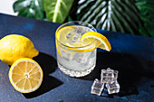 Glass of cold refreshing alcohol drink with ice cubes garnished with lemon slice and placed on table in bar