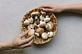 Hand greift nach Champignons in Korbschale