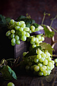 An arrangement of green grapes