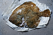 Whole turbot on paper with crushed ice