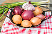 Different types of onions in a pan