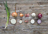 Vegetable onion, table onion, shallot, white and red onion, spring onion