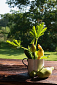 Verschiedene Zucchinisorten auf Tisch im Freien
