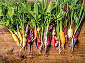 Freshly harvested vegetables - carrots, peas, Jerusalem artichoke and spring onions