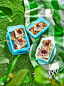 Kokos-Blechkuchen mit Marmelade in Lunchboxen fürs Picknick