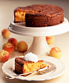 Chocolate and apricot cake