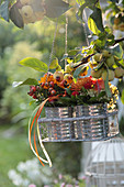 Posies of rose hips and chrysanthemums in tin cans hung from apple tree in wire basket