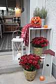 Autumn arrangement of chrysanthemums, pumpkins and lantern