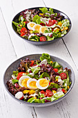 Colorful salad with egg
