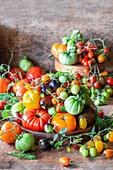Still life with colorful tomatoes