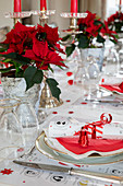 Table festively set in red and white decorated with poinsettias
