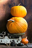Yellow pumpkins and scale