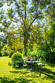 Tisch mit Stühlen unter Baum im Garten