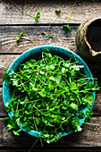 Organic parsley