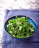 Fresh parsley in dish