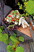 Bunter Herbstsalat mit Hähnchen, Walnüssen und Mozzarella