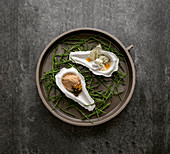 Gillardeau oysters, algae salad, foie gras, lemon crunch and yuzu gelee
