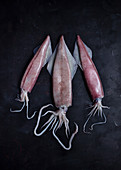 Uncooked meat of squids placed on black table on black background in studio