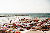 Sonnenschirme am Strand von Tel Aviv (Israel)