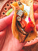 Hand hält vegetarischen Taco gefüllt mit Seitan, Pilzen und Karotten