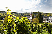 Kloster Eberbach, Rheingau, Germany