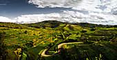 Weinlandschaft, Kaiserstuhl, Baden, Baden-Württemberg, Deutschland