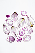 Durchleuchtete lila Zwiebelscheiben