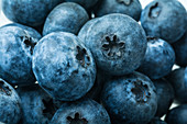 Blueberries (close-up)