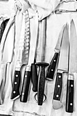 Chef's knives and sharpening steel