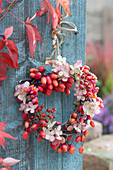 A small wreath of rose hips, ornamental apples, hydrangea, and spindle tree