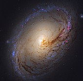 M96 galaxy, Hubble Space Telescope image