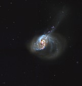 NGC 1614 galaxy, Hubble Space Telescope image