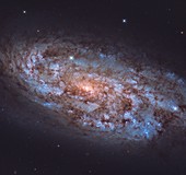 NGC 1792 galaxy, Hubble Space Telescope image
