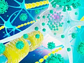 Covid-19 virus infecting nerve cells, illustration