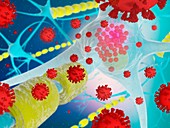 Covid-19 virus infecting nerve cells, illustration