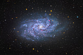 Triangulum galaxy (M33)