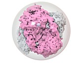 Catalase nanoparticle, illustration