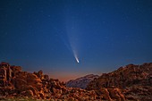 Comet Neowise, Valley of Fire State Park, Nevada, USA