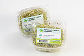 Organic alfalfa sprouts