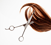 Scissors cutting through brunette hair
