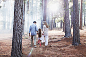 Family holding hands and walking