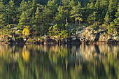 Rural landscape reflected in still lake